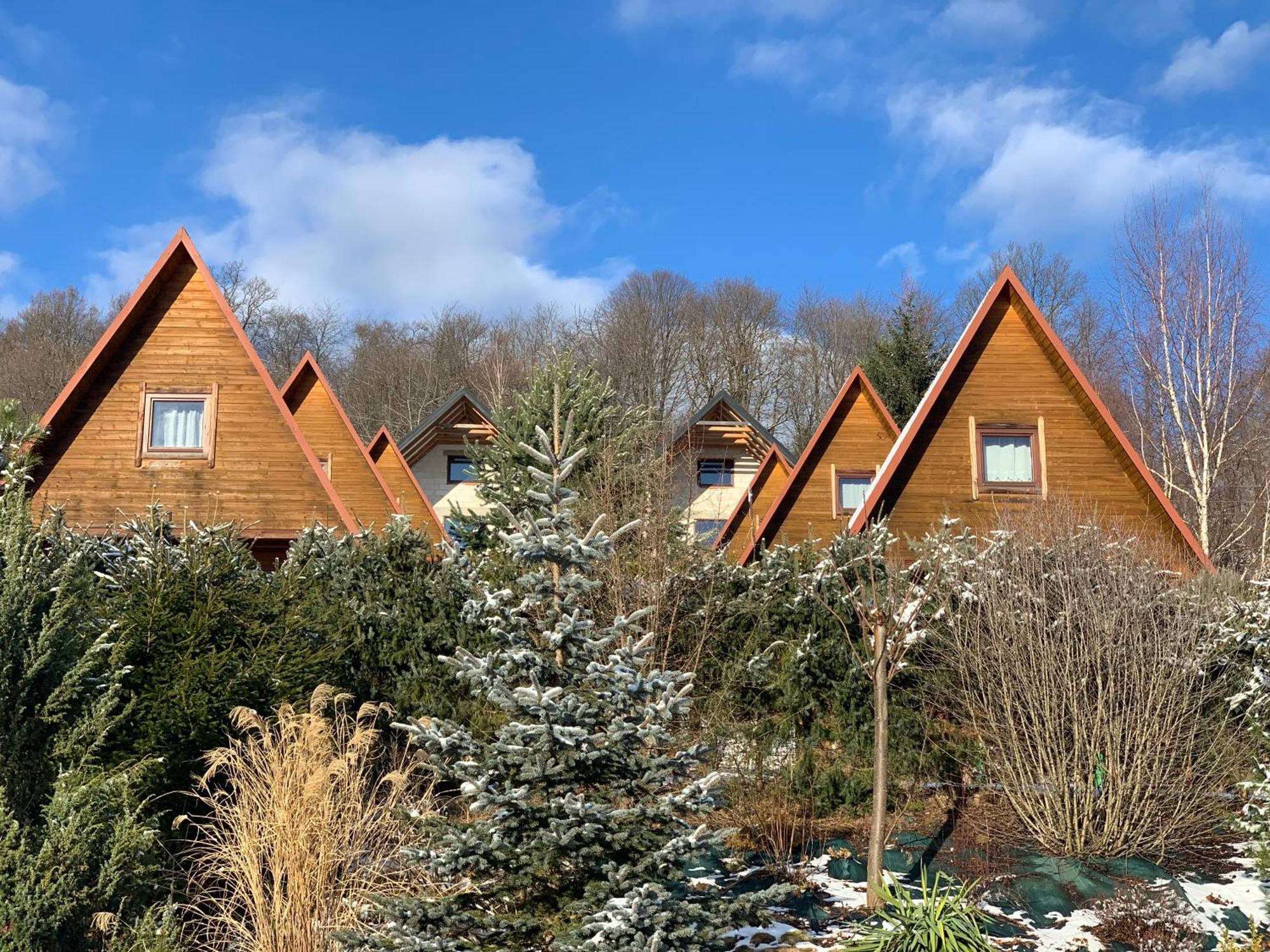 Domki Nad Solina Czarny Kot 509-797-777 Exterior foto